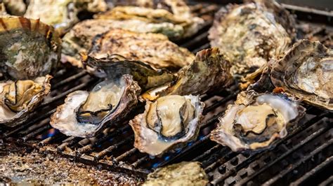can you cook oysters on a gas grill